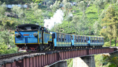 Kavya Tours & Travels Coimbatore - Tours & Travels